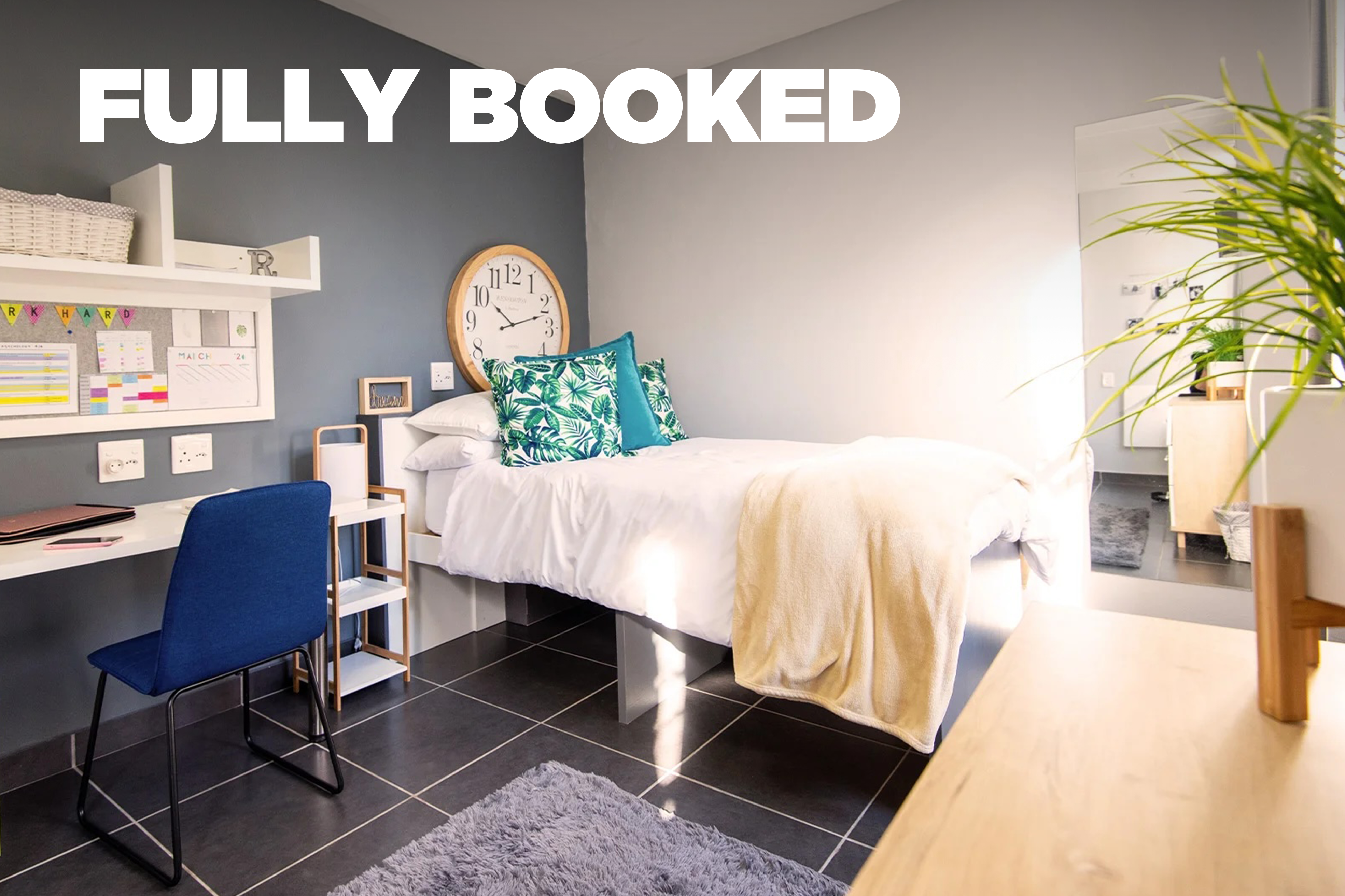 <span>Explorer</span> Four With Lounge