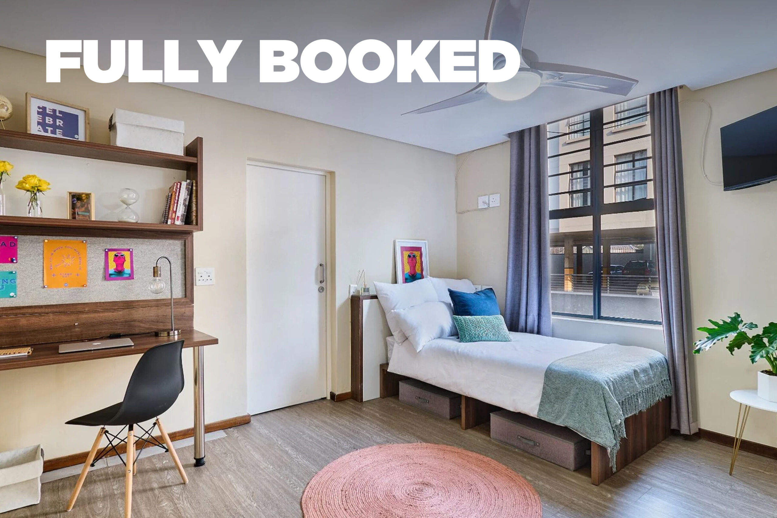 <span>Socializer</span> Four